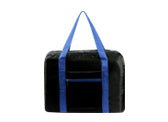 Foldable Travel Bag