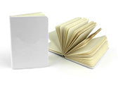 PINE - Pocketbook (Lined)